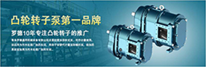 羅德轉(zhuǎn)子泵與南方某電機(jī)廠家技術(shù)交流，討論合作.