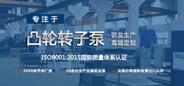 凸輪轉(zhuǎn)子泵生產(chǎn)廠家，專注于凸輪轉(zhuǎn)子泵的研發(fā)生產(chǎn)，高端定制
